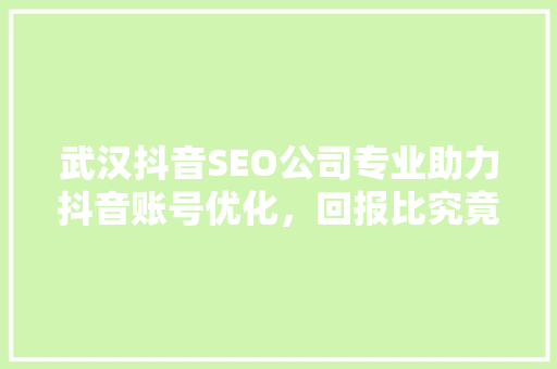 武汉抖音SEO公司专业助力抖音账号优化，回报比究竟多少