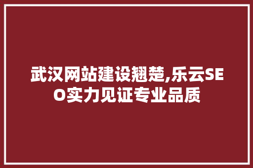 武汉网站建设翘楚,乐云SEO实力见证专业品质