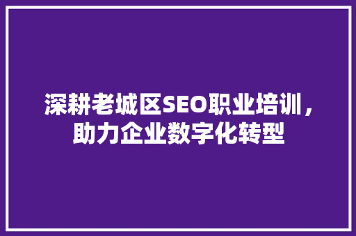 深耕老城区SEO职业培训，助力企业数字化转型