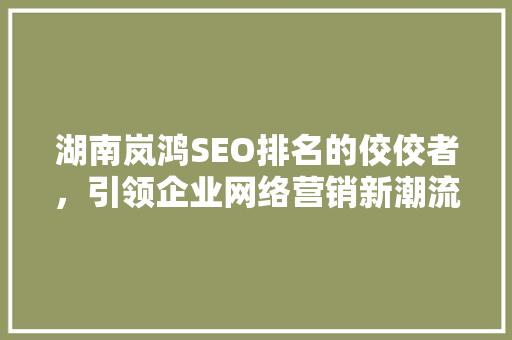 湖南岚鸿SEO排名的佼佼者，引领企业网络营销新潮流