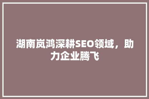 湖南岚鸿深耕SEO领域，助力企业腾飞