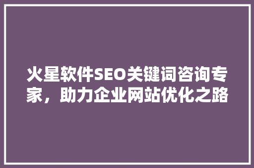 火星软件SEO关键词咨询专家，助力企业网站优化之路