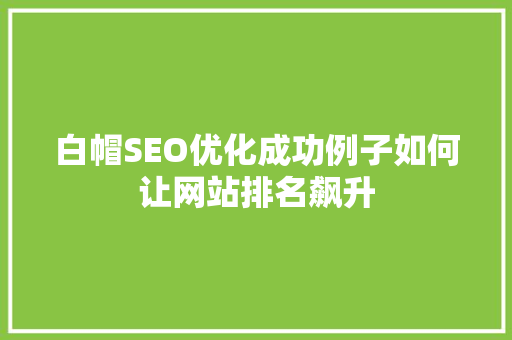 白帽SEO优化成功例子如何让网站排名飙升