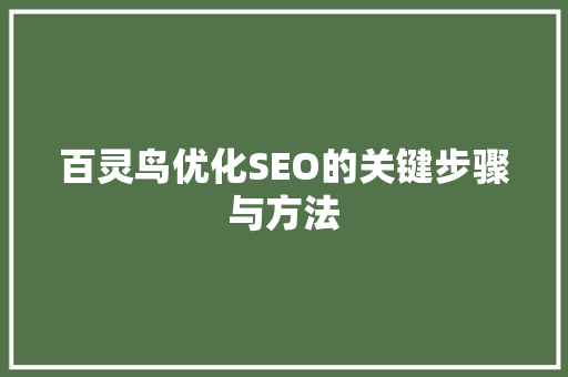 百灵鸟优化SEO的关键步骤与方法