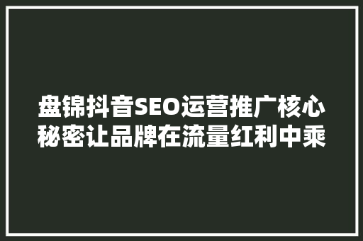 盘锦抖音SEO运营推广核心秘密让品牌在流量红利中乘风破浪  第1张