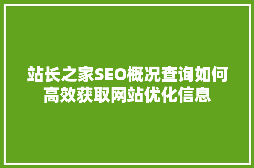 站长之家SEO概况查询如何高效获取网站优化信息