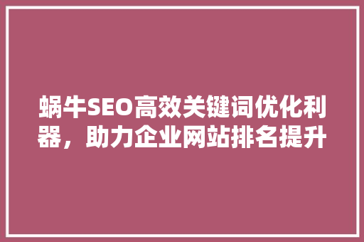 蜗牛SEO高效关键词优化利器，助力企业网站排名提升