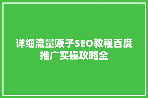 详细流量贩子SEO教程百度推广实操攻略全