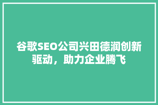 谷歌SEO公司兴田德润创新驱动，助力企业腾飞