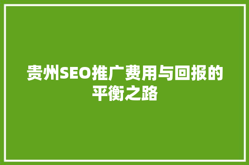 贵州SEO推广费用与回报的平衡之路
