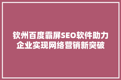 钦州百度霸屏SEO软件助力企业实现网络营销新突破