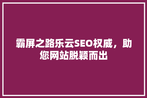 霸屏之路乐云SEO权威，助您网站脱颖而出
