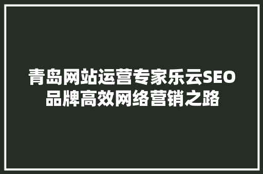 青岛网站运营专家乐云SEO品牌高效网络营销之路