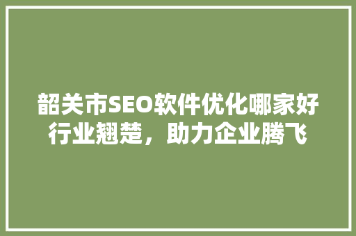 韶关市SEO软件优化哪家好行业翘楚，助力企业腾飞