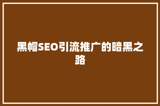黑帽SEO引流推广的暗黑之路