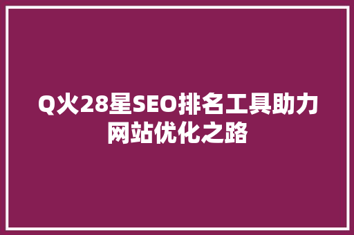 Q火28星SEO排名工具助力网站优化之路