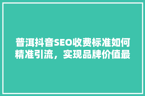 普洱抖音SEO收费标准如何精准引流，实现品牌价值最大化