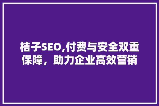 桔子SEO,付费与安全双重保障，助力企业高效营销