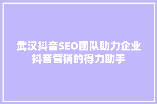 武汉抖音SEO团队助力企业抖音营销的得力助手