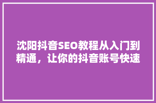 沈阳抖音SEO教程从入门到精通，让你的抖音账号快速崛起