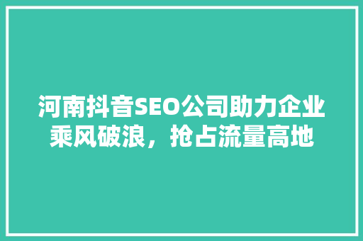 河南抖音SEO公司助力企业乘风破浪，抢占流量高地