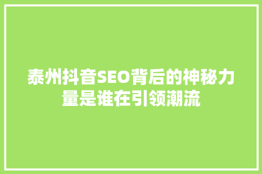 泰州抖音SEO背后的神秘力量是谁在引领潮流