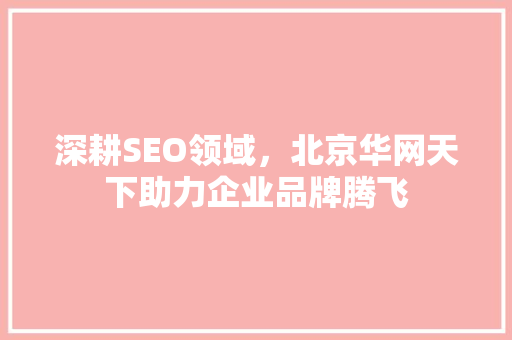 深耕SEO领域，北京华网天下助力企业品牌腾飞