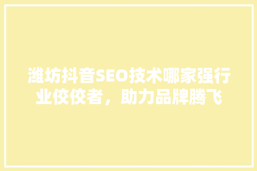 潍坊抖音SEO技术哪家强行业佼佼者，助力品牌腾飞
