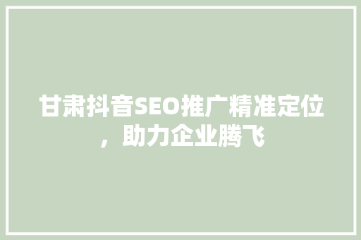 甘肃抖音SEO推广精准定位，助力企业腾飞