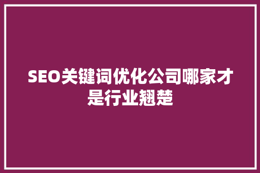 SEO关键词优化公司哪家才是行业翘楚