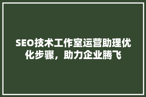 SEO技术工作室运营助理优化步骤，助力企业腾飞