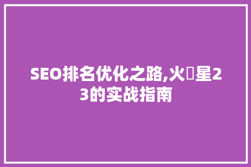 SEO排名优化之路,火乛星23的实战指南