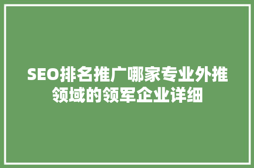 SEO排名推广哪家专业外推领域的领军企业详细