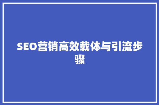 SEO营销高效载体与引流步骤