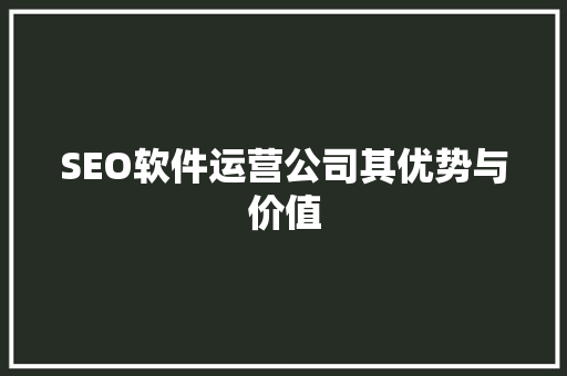 SEO软件运营公司其优势与价值