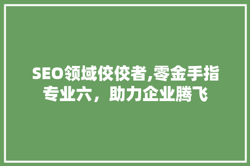 SEO领域佼佼者,零金手指专业六，助力企业腾飞