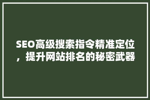 SEO高级搜索指令精准定位，提升网站排名的秘密武器