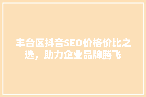 丰台区抖音SEO价格价比之选，助力企业品牌腾飞