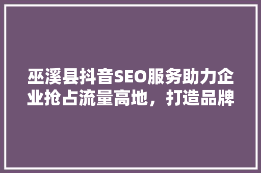 巫溪县抖音SEO服务助力企业抢占流量高地，打造品牌新格局