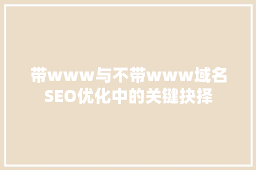 带www与不带www域名SEO优化中的关键抉择