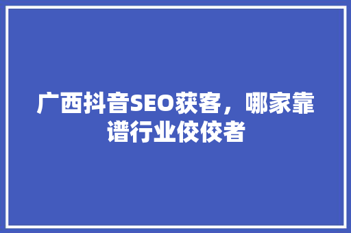 广西抖音SEO获客，哪家靠谱行业佼佼者