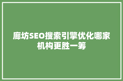 廊坊SEO搜索引擎优化哪家机构更胜一筹