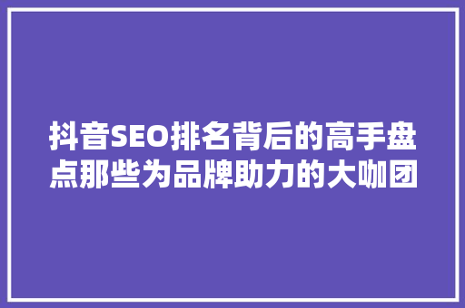 抖音SEO排名背后的高手盘点那些为品牌助力的大咖团队