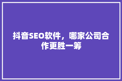 抖音SEO软件，哪家公司合作更胜一筹