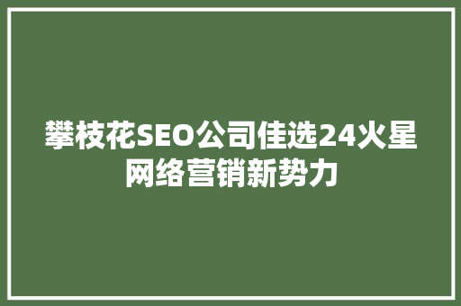 攀枝花SEO公司佳选24火星网络营销新势力