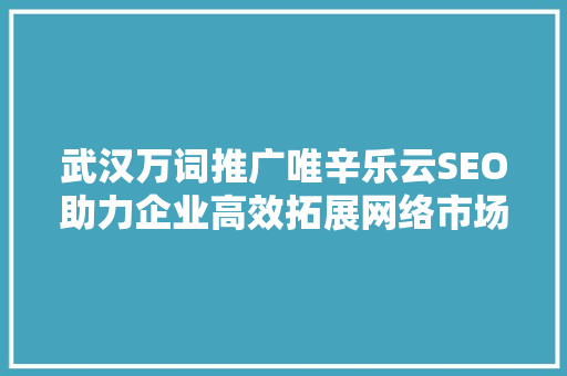 武汉万词推广唯辛乐云SEO助力企业高效拓展网络市场