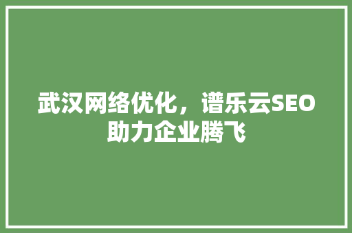 武汉网络优化，谱乐云SEO助力企业腾飞