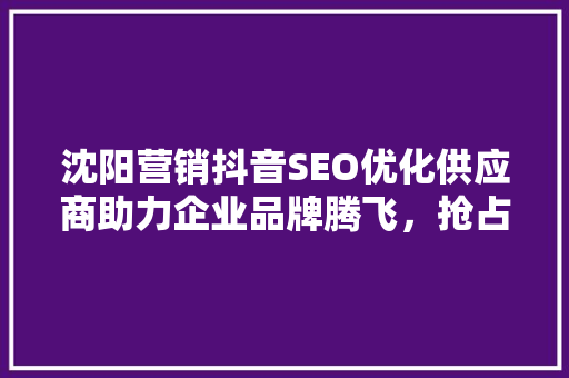 沈阳营销抖音SEO优化供应商助力企业品牌腾飞，抢占短视频营销制高点
