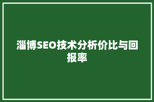 淄博SEO技术分析价比与回报率