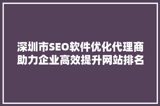 深圳市SEO软件优化代理商助力企业高效提升网站排名，抢占市场先机